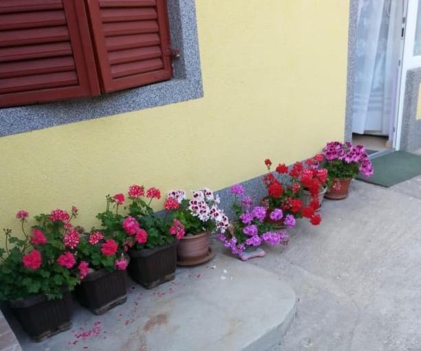 Apartments Toni With Free Parking Kastela Exterior photo